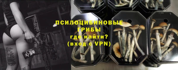 прущие грибы Сафоново