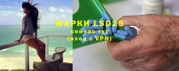 прущие грибы Сафоново