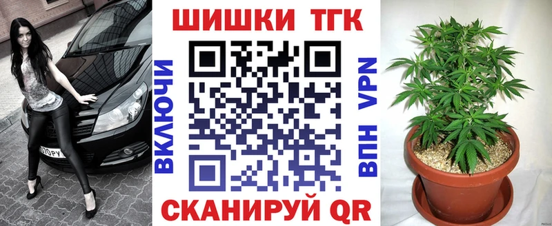 Купить где  Шацк  Канабис Amnesia 